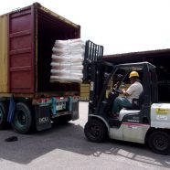 Guatemala Loading Saturday, September 8th.